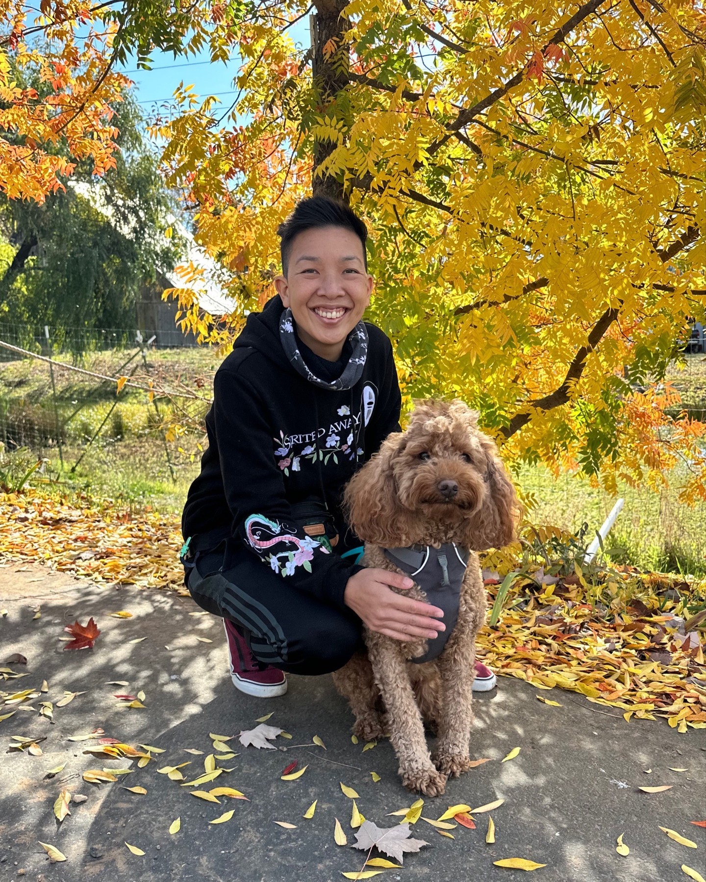 midtown mutts sacramento certified dog training