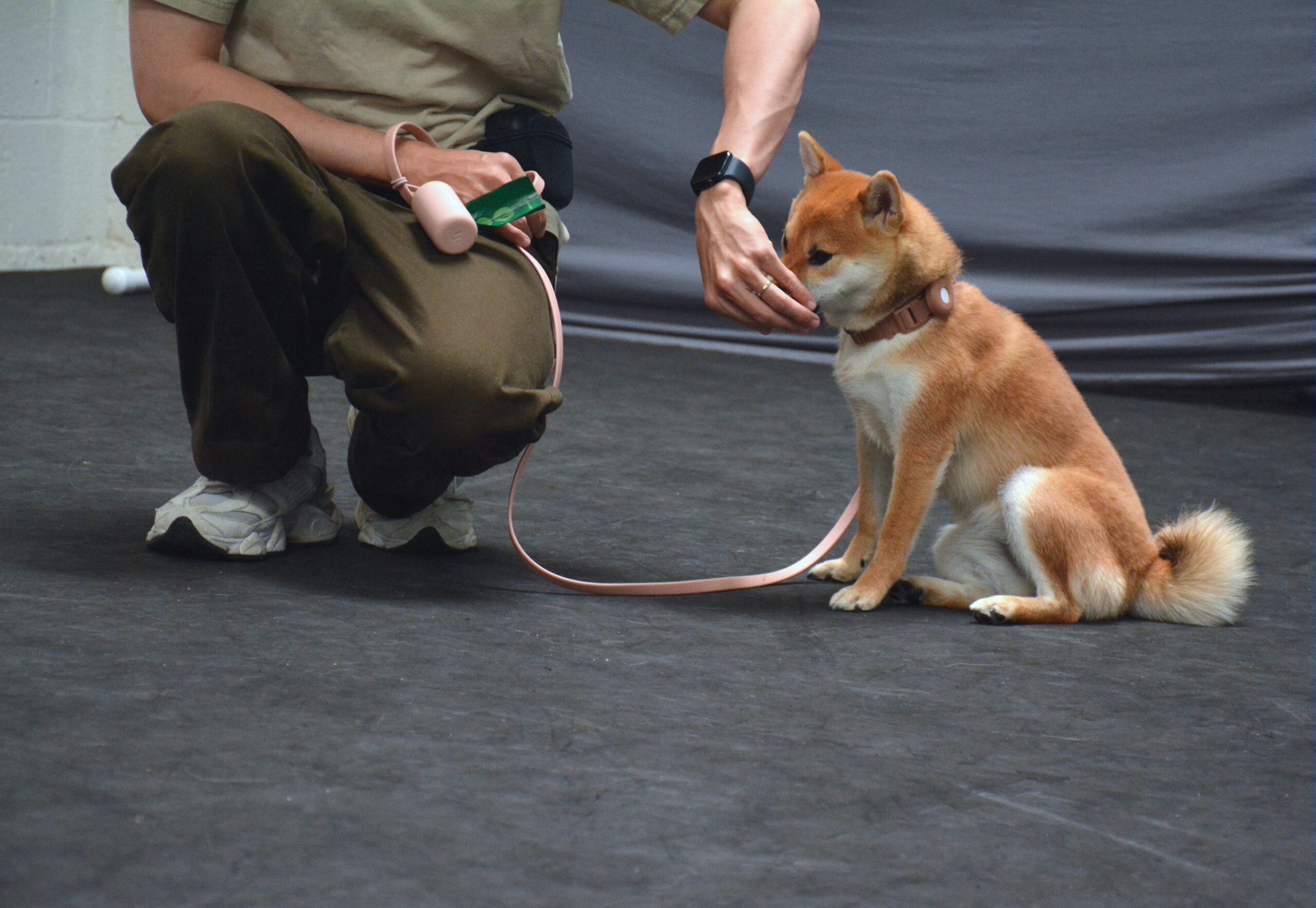 group class training sacramento