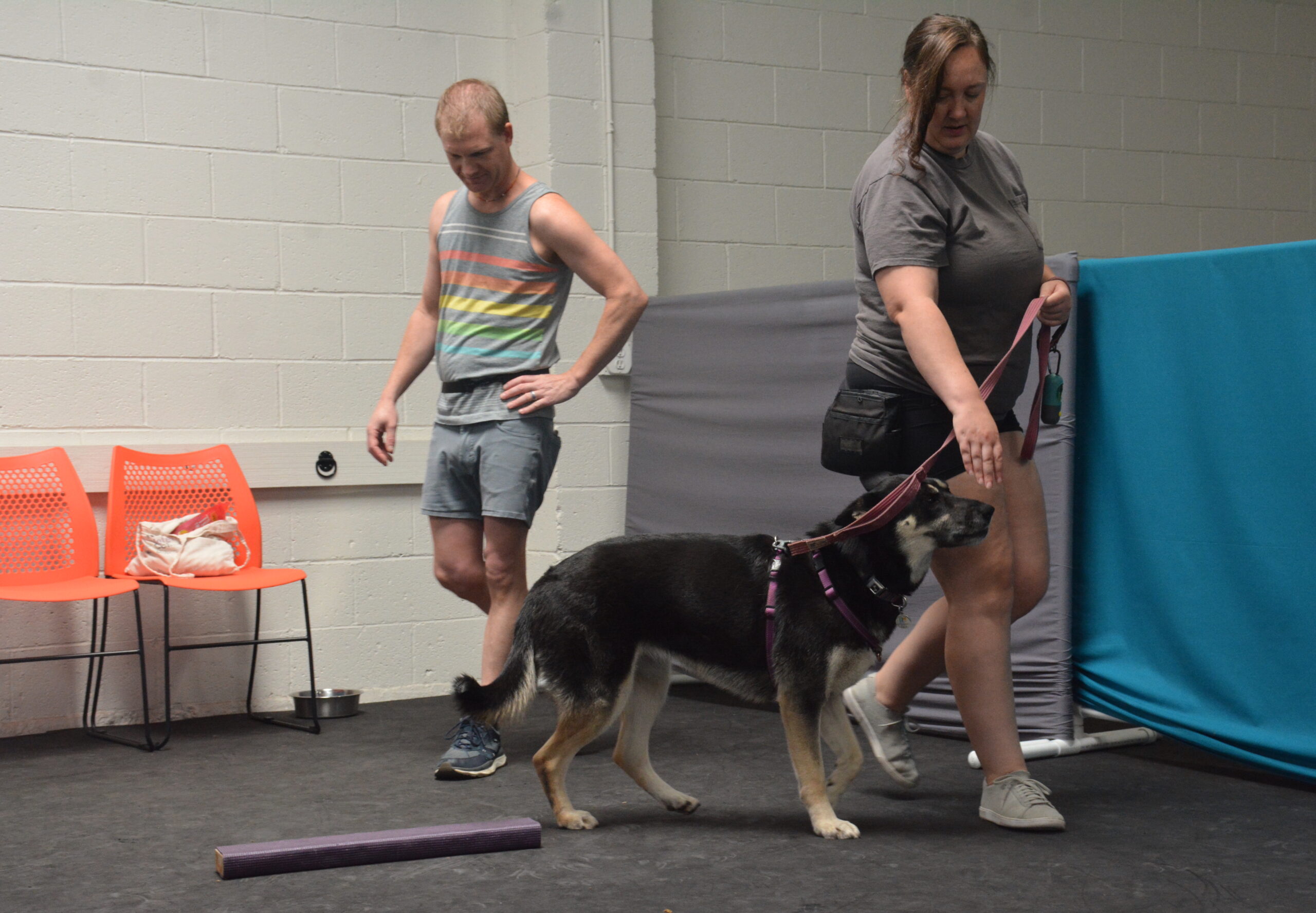 group class training sacramento