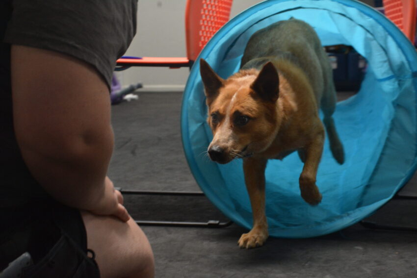 group class training sacramento