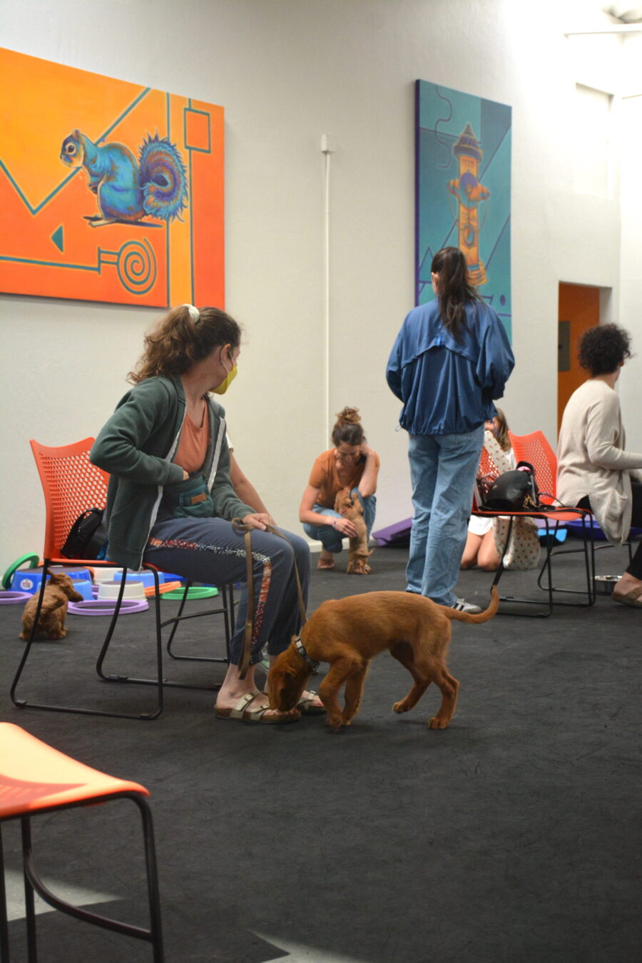 group class training sacramento