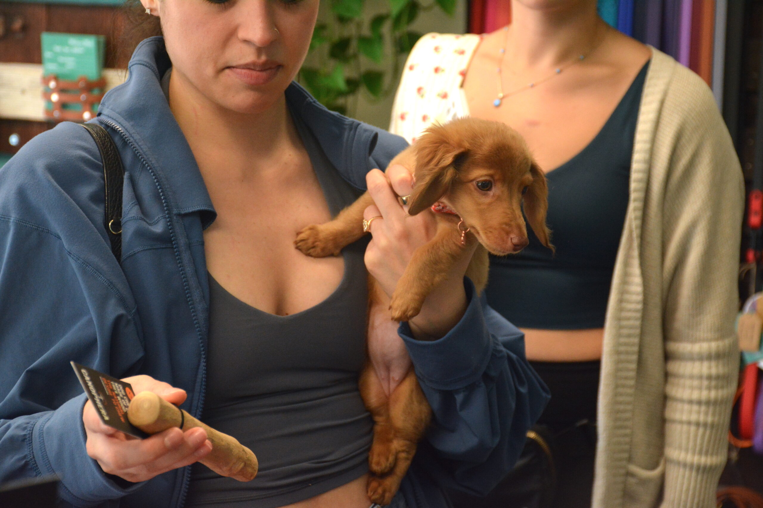 group class training sacramento