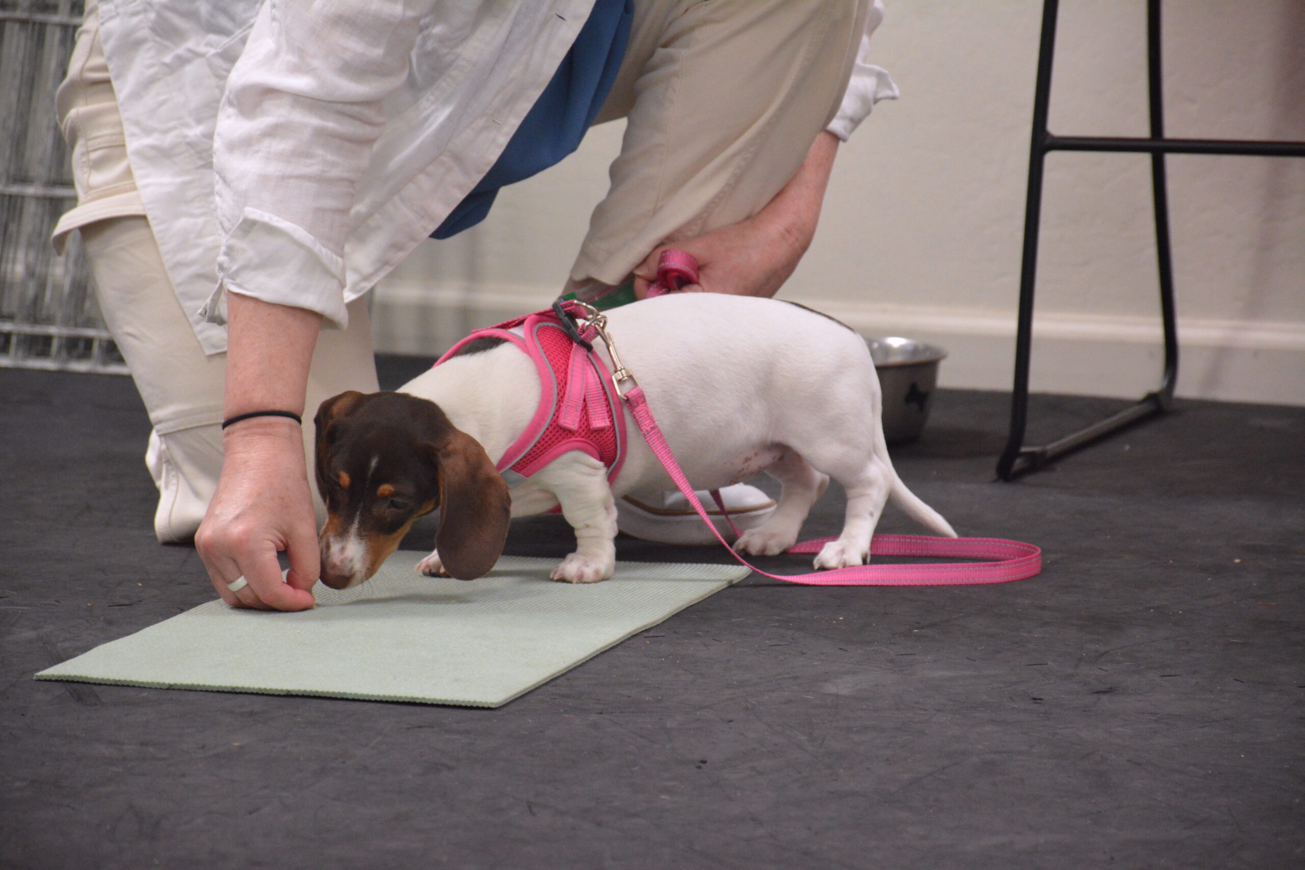 group class training sacramento