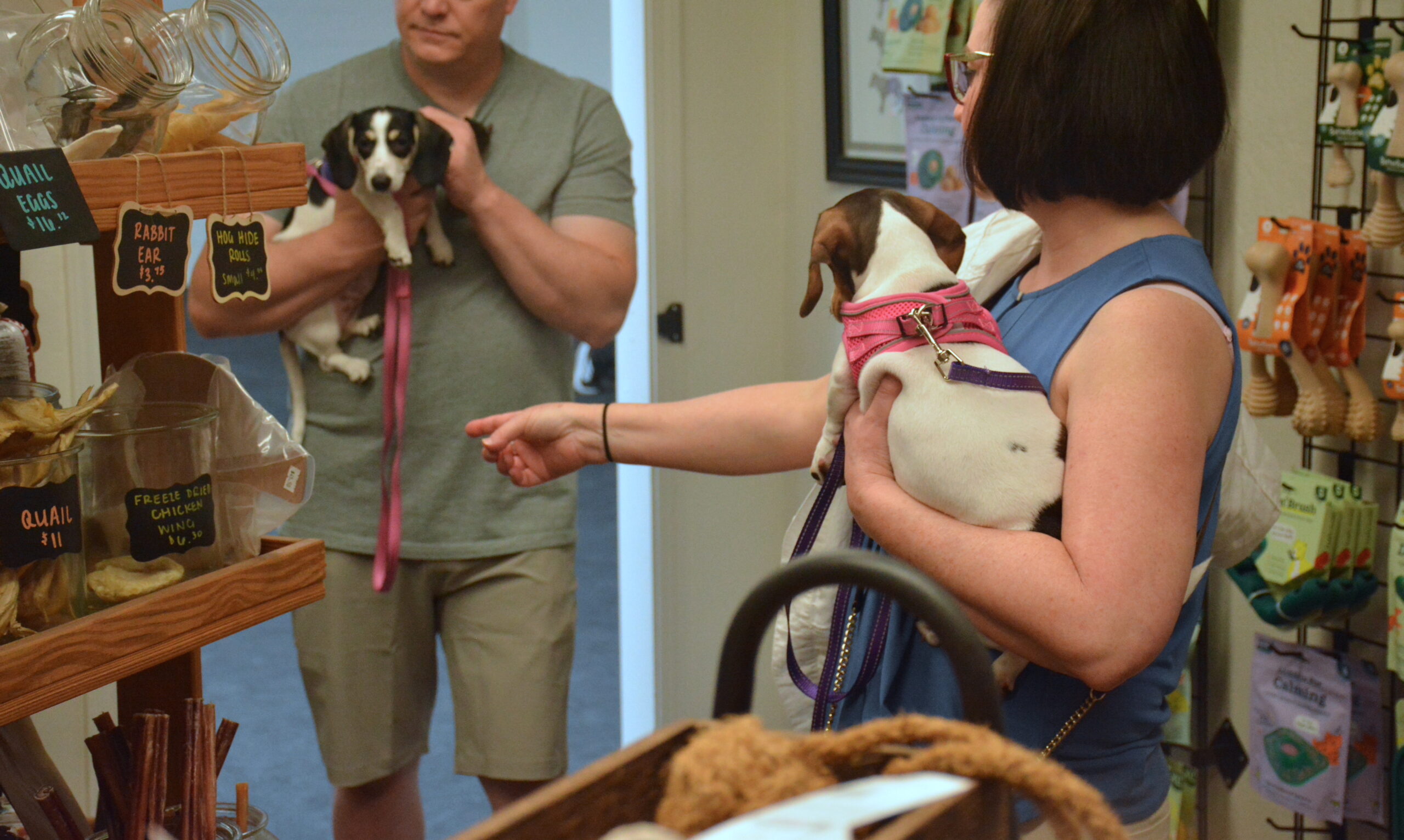 group class training sacramento