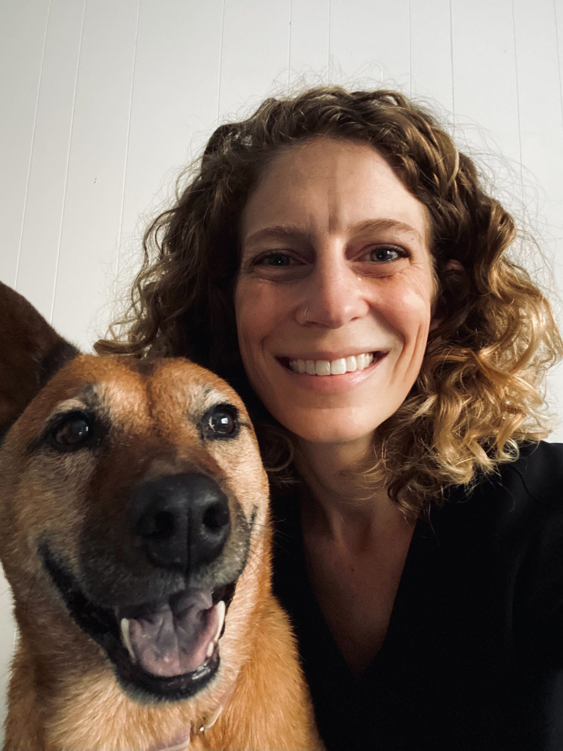 midtown mutts sacramento certified dog training